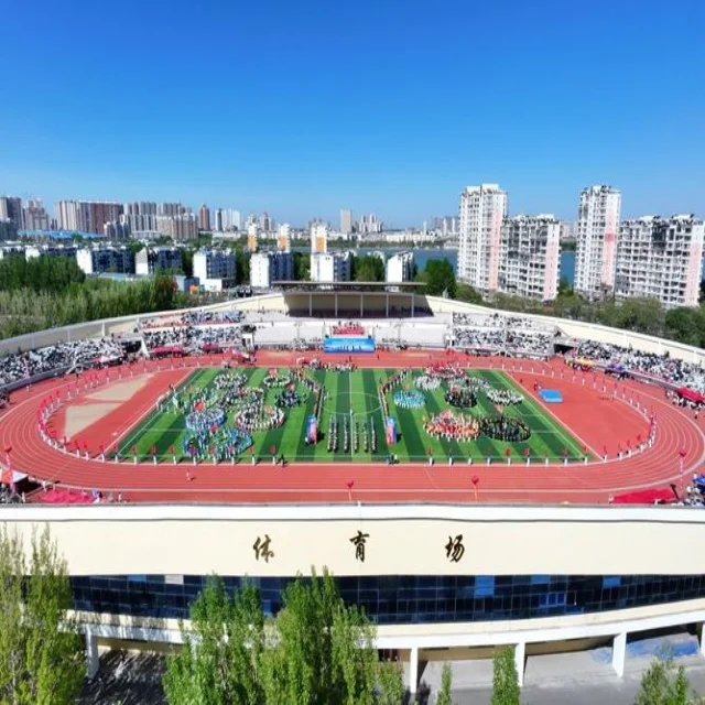 女篮总决赛巅峰对决：赛场背后的故事揭秘
